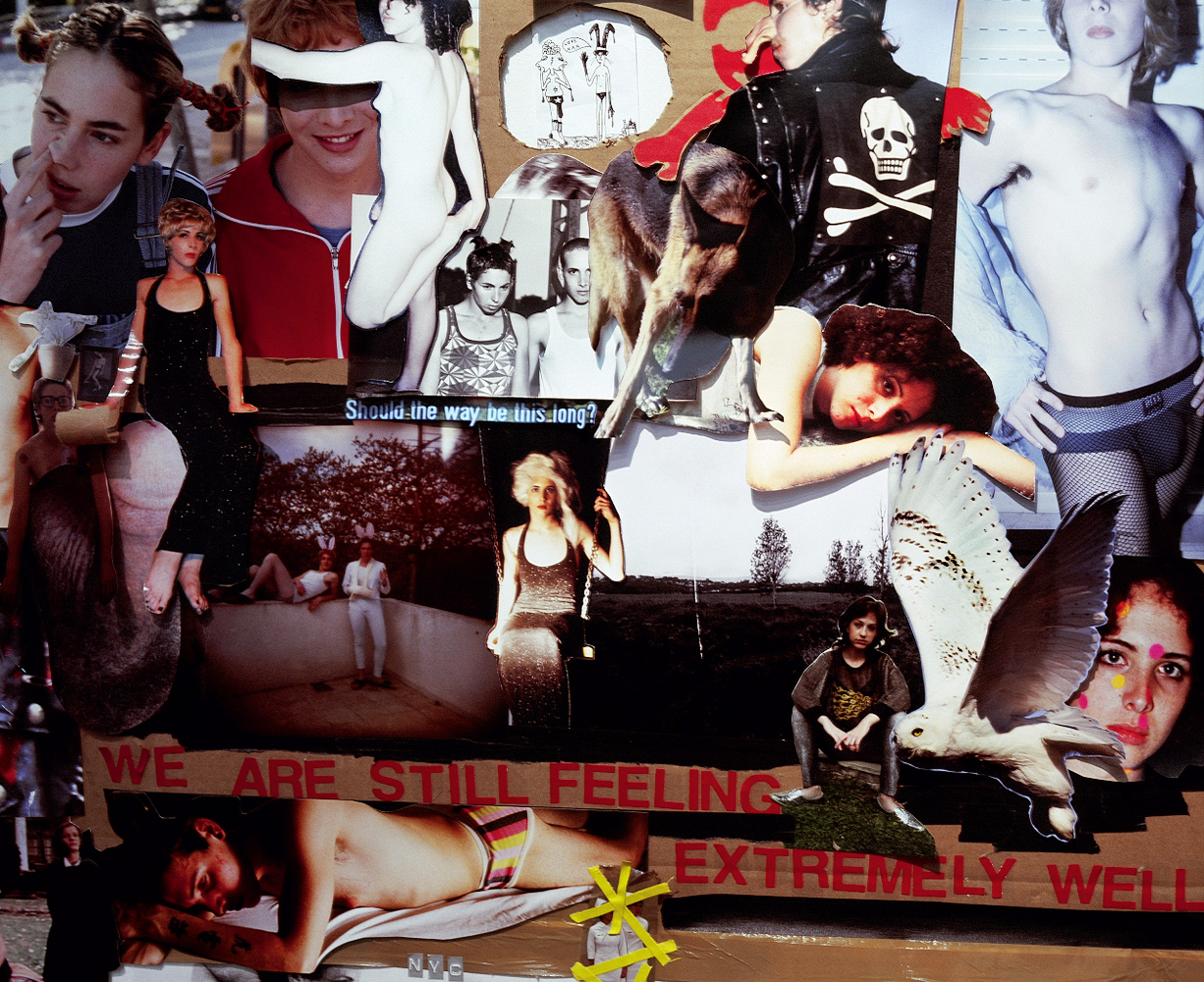 Rona Yefman, *Let it bleed*, 2010. Collage (detail)