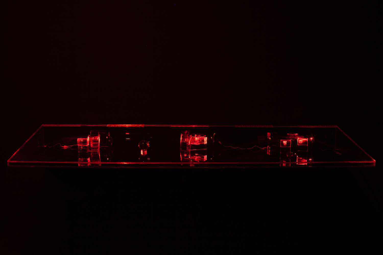 Constantina Zavitsanos, *Boxed Bet*, 2019. Transmission holograms, acrylic mounts, 5mW red laser. Installation view

[image description: A clear plexiglass display case is mounted on a black wall in the dark. Laser light glows from the display case. Its closed clear lid and sides slope down from back to front. Inside the case are three separate arrangements of holograms on dimensional clear acrylic mounts, as well as a single glass sphere, each lit by a red laser.]
