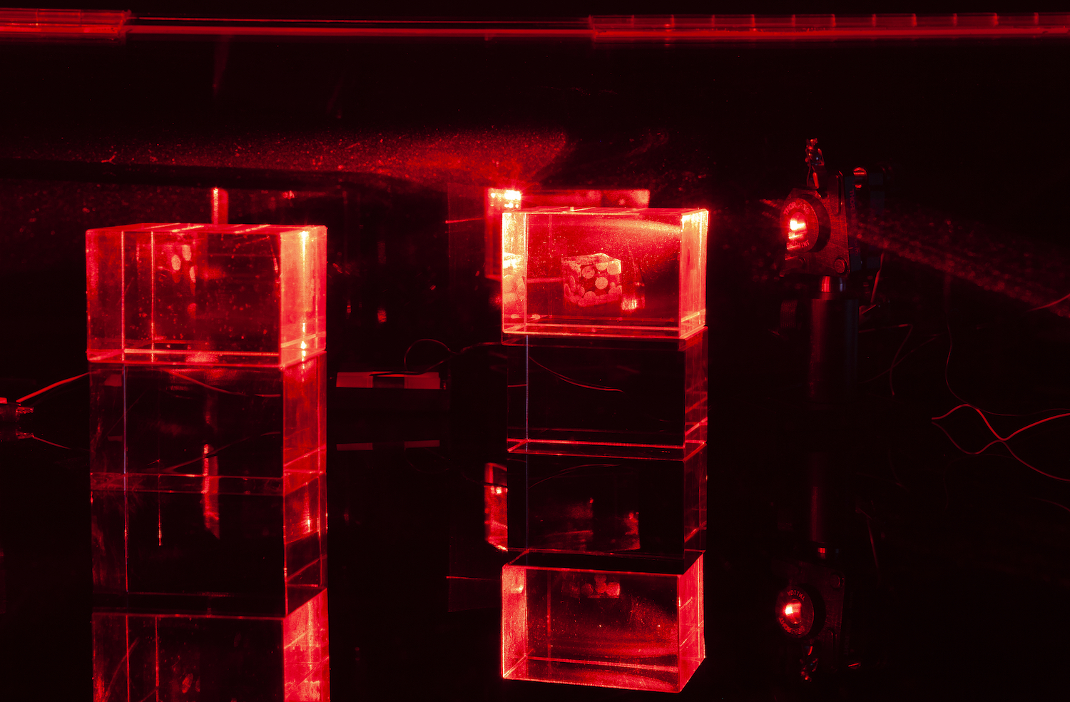 Constantina Zavitsanos, *Boxed Bet*, 2019. Transmission holograms, acrylic mounts, 5mW red laser. Detail view

[image description: Against a darkened black background, two glowing glowing red holograms on dimensional clear acrylic mounts. Holographic images of dice mid-roll are lit by a red laser in a scientific metal mount. The light reflects against the back and bottom black plexiglass surfaces.]