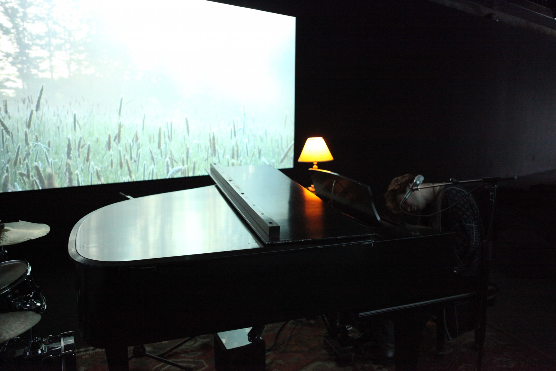Tom Kalin and Thomas Bartlett (Doveman), *My Silent One (In The Sweetness of Time)*, 2015