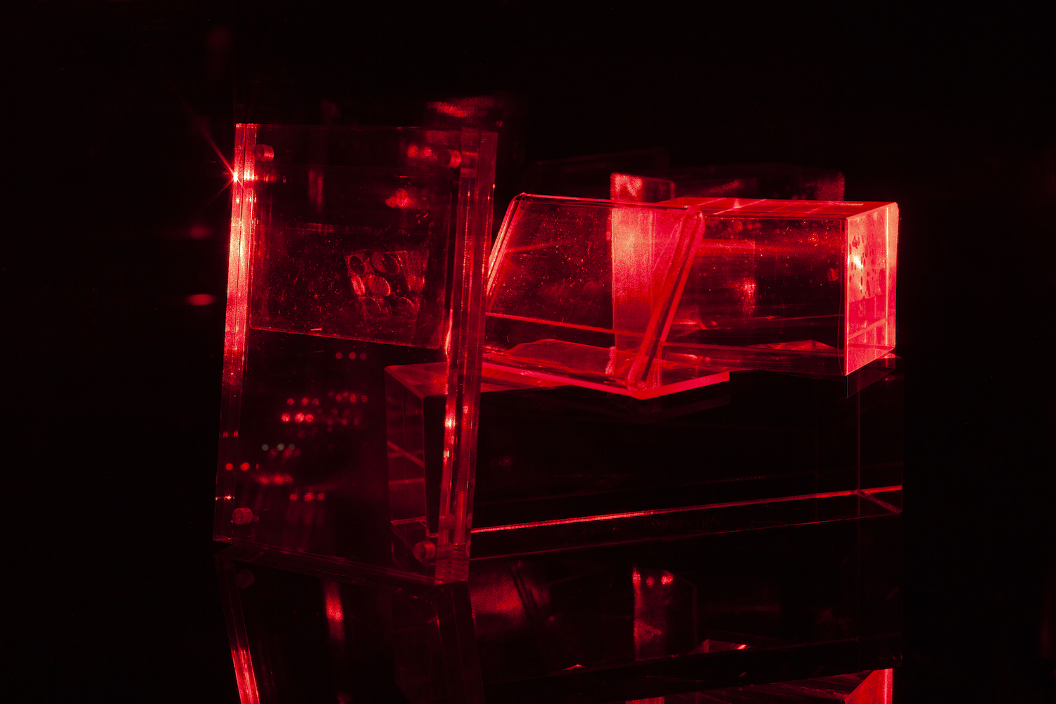 Constantina Zavitsanos, *Boxed Bet*, 2019. Transmission holograms, acrylic mounts, 5mW red laser. Detail view

[image description: Against a darkened black background, an arrangement of glowing red holograms on dimensional clear acrylic mounts. Holographic images of dice mid-roll are lit by a red laser. The light reflects against the black plexiglass surface on which the holograms sit.]
